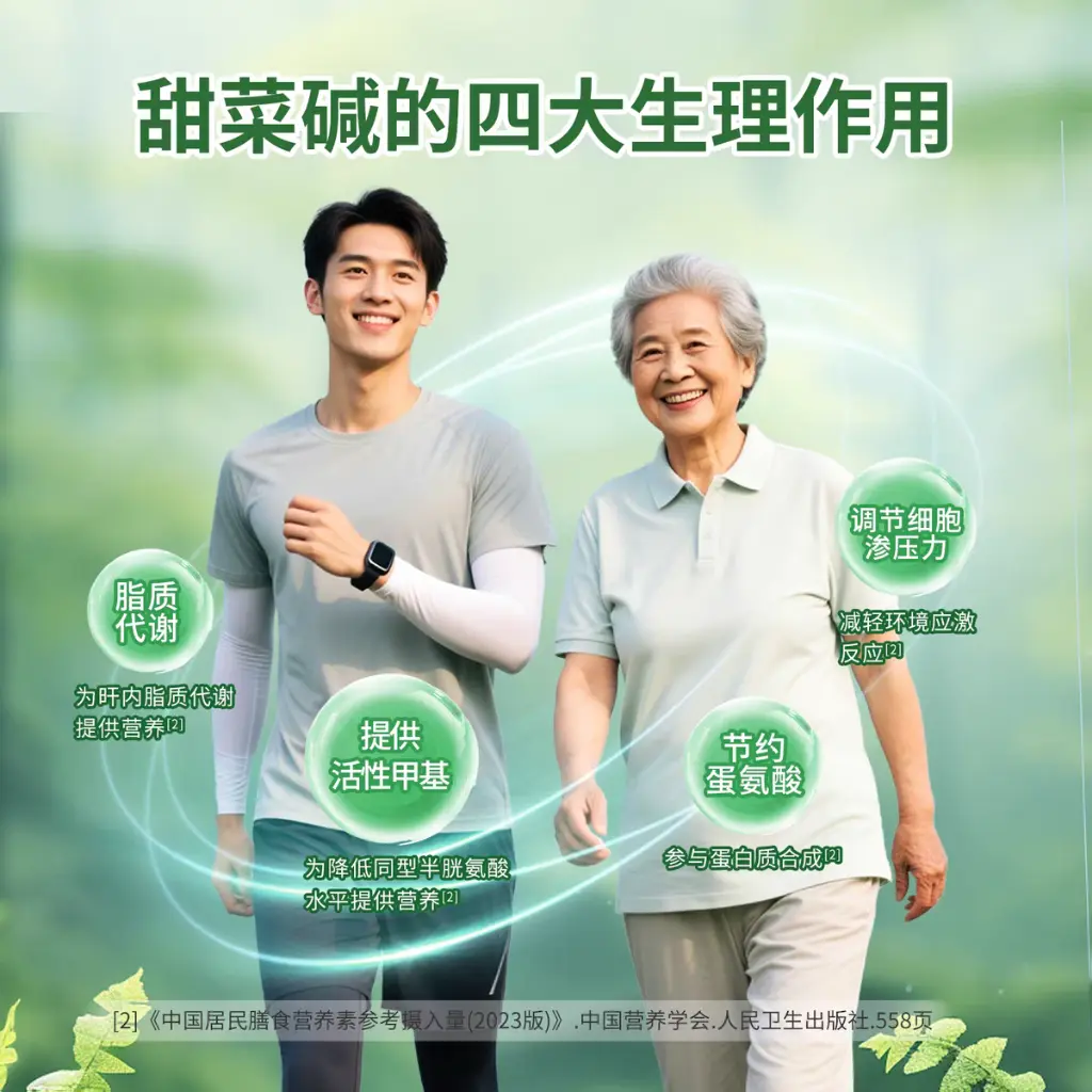 微信图片_20260727173017_953_185.webp