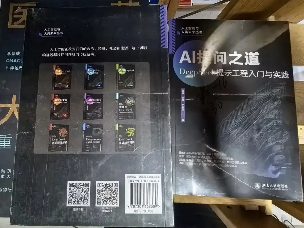 AI提问之道 DeepSeek提示工程入门与实践.webp