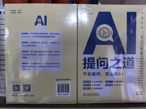AI提问之道-不会提问，怎么玩AI