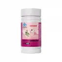京都安顺堂白术薏仁胶囊 0.3g/粒*40粒